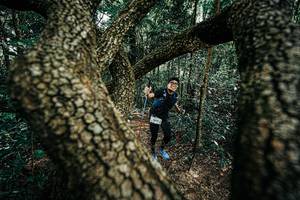 BIB: 
                            <button type="button" onclick="openModal(25392571)" class="btn btn-primary btn-sm float-right btn-popup" data-toggle="modal" data-target=".modal-high-quality">
                        <i class="fas fa-shopping-cart"></i> Add to Cart
                    </button>
                                            <button type="button" onclick="isThisMe(25392571, true)" class="btn btn-success btn-sm float-right btn-popup btn-isme hidden" data-toggle="tooltip" data-placement="bottom" title="นี่คือรูปของคุณใช่ไหม คลิกที่นี่เพื่อเอาเข้าอัลบั้ม">
                        <i class="fas fa-plus"></i> Add to album
                    </button>
                    <button type="button" onclick="isThisMe(25392571, false)" class="btn btn-warning btn-sm float-right btn-popup btn-isnotme hidden">
                        <i class="fas fa-ban"></i> Remove from album
                    </button>